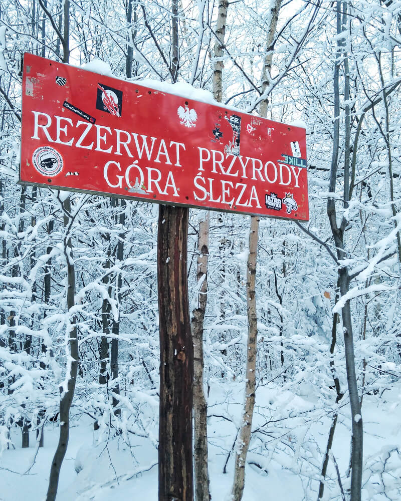The Ślęża Landscape Park near Wrocław During Winter