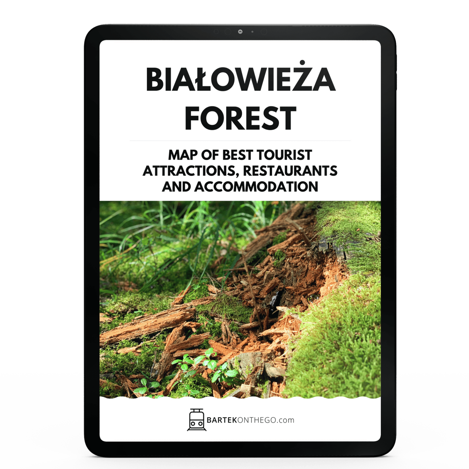 BIAŁOWIEŻA NATIONAL PARK: MAP of 50+ Best Places to See & Things to Do